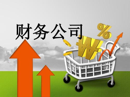 深圳財務公司哪家好解析財務管理目標的調整及實現存在的問題